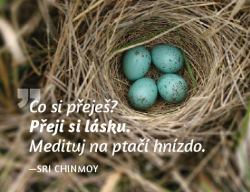 Magnet na lednici Medituj na Láska