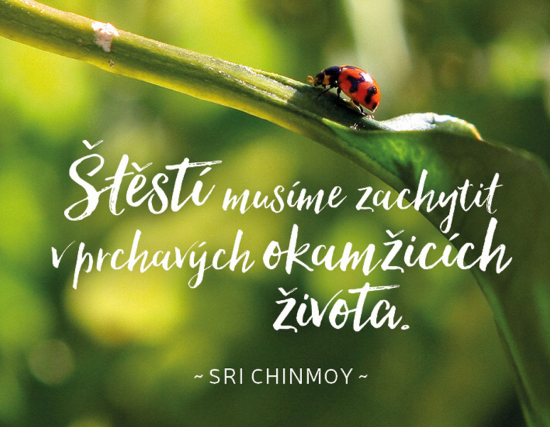 Štěstí musíme zachytit v prchavých okamžicích života (Magnet na lednici)