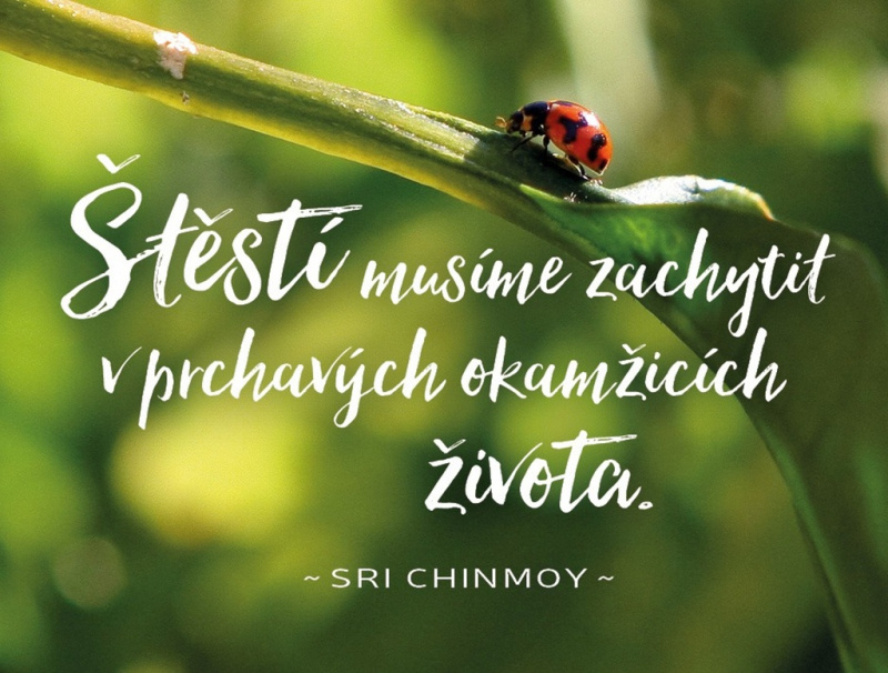 Plechová cedulka Štěstí musíme zachytit