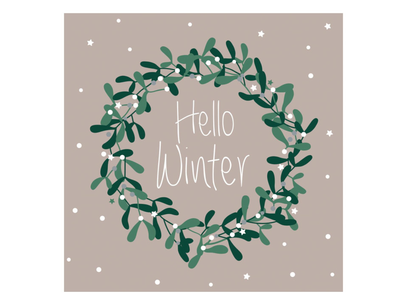 Vánoční ubrousky, Hello Winter, 20 ks