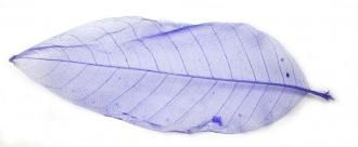 Listy fialové 20 cm, 10 ks