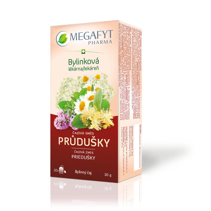 MEGAFYT Čajová směs průdušky 20 x 1,5 g