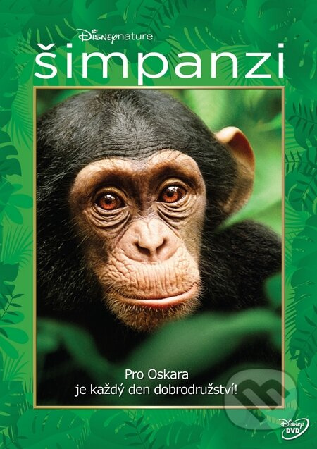 Šimpanzi - Alastair Fothergill, Mark Linfield - film z kategorie Přírodopisné dokumenty