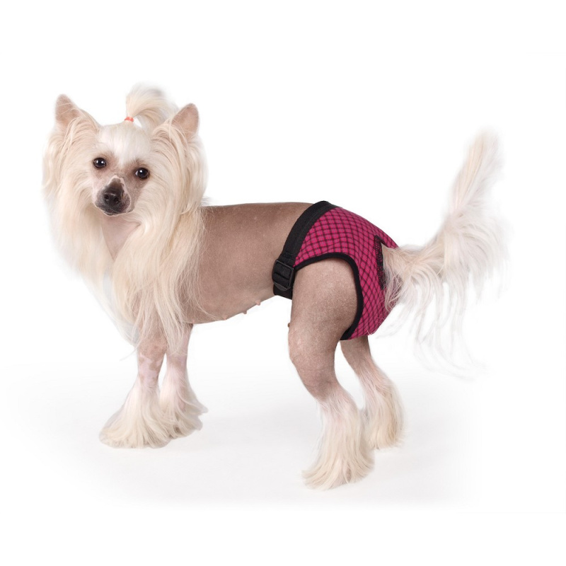 01294 Hárací kalhotky Fun Colours XS