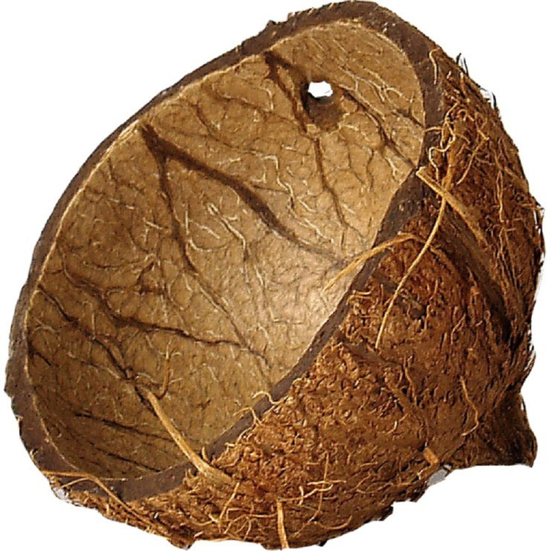 Coco skořápka do terária