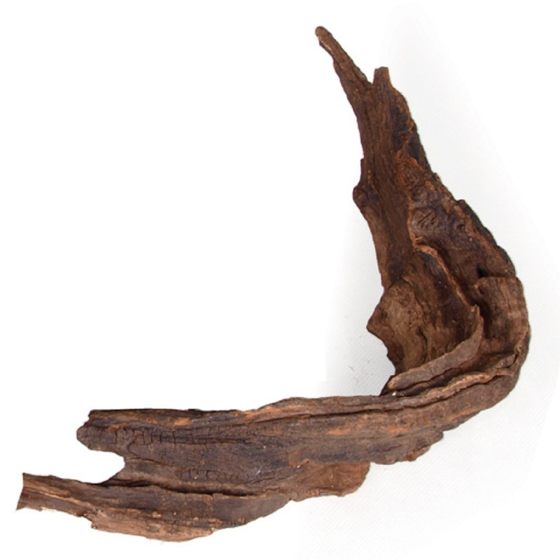 Dekorace Desert Driftwood L