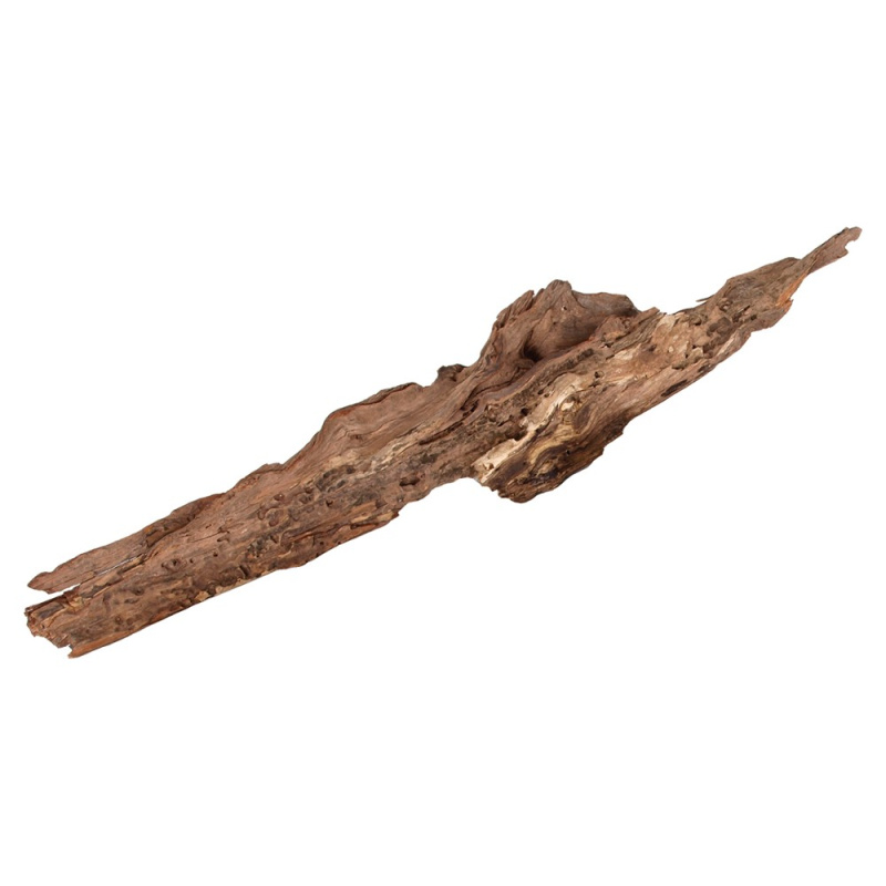 Dekorace Desert Driftwood XXL