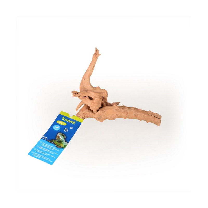Azalea Root XS