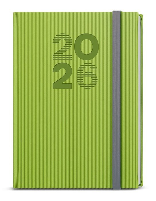 Baloušek Vigo 2026 - denní diář A5 - zelený