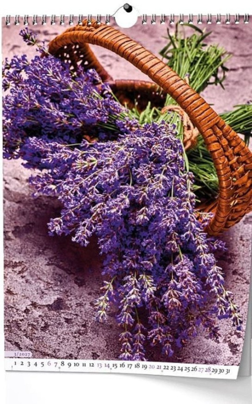 Provence 2027 - nástěnný kalendář -  Autor Neuveden