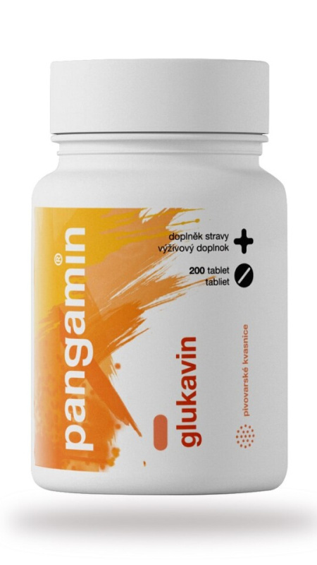 PANGAMIN Glukavin 200 tablet