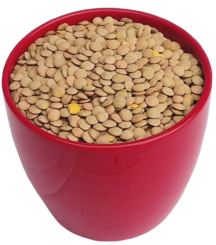 MENU GOLD Čočka velkozrnná 5 kg
