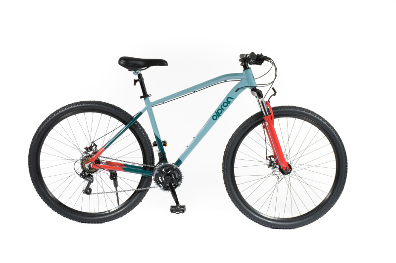 Olpran CANIS 2025 Velikost: 19"