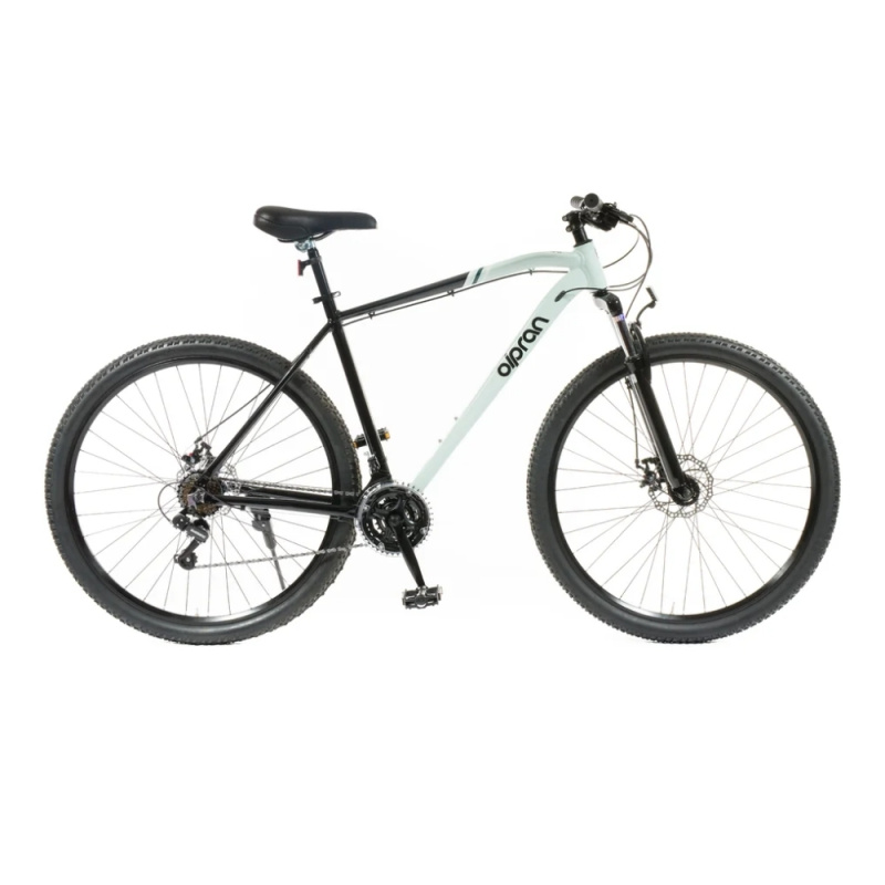 Olpran ASTACUS 2025 Velikost: 19"