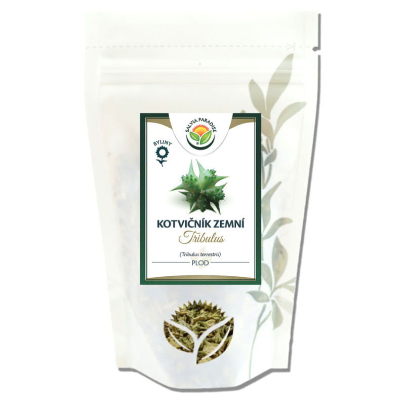 SALVIA PARADISE Kotvičník zemní Tribulus plod 80 g