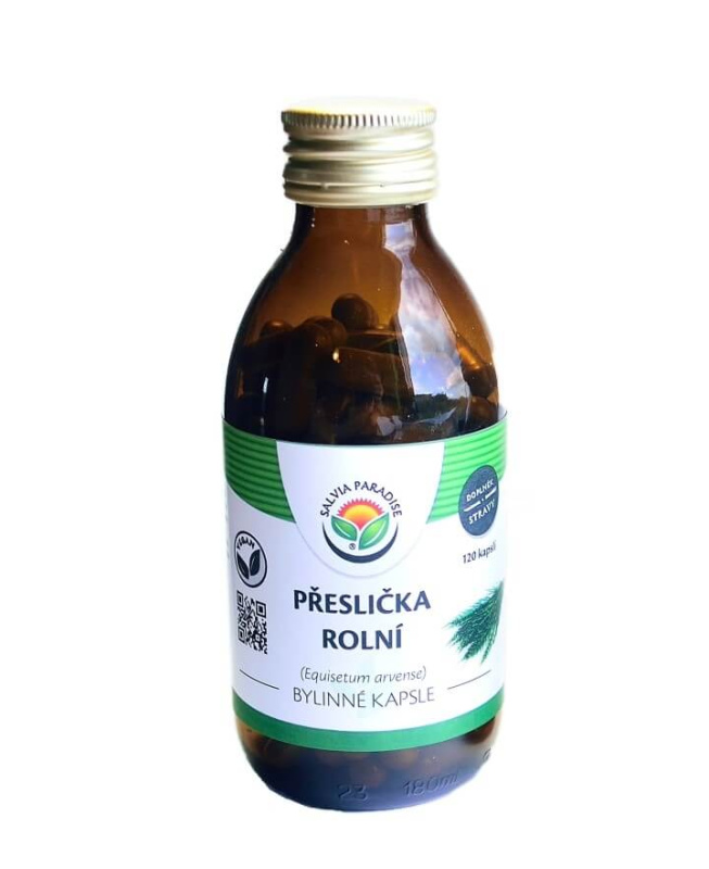 SALVIA PARADISE Přeslička rolní 120 kapslí