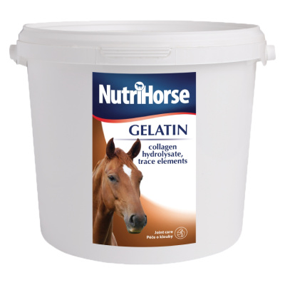 Nutri Horse Gelatin (Gel) 1 kg