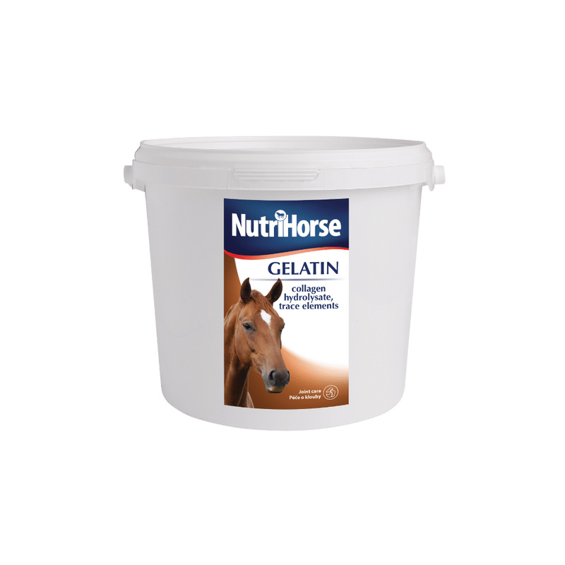 Nutri Horse Gelatin (Gel) 1 kg