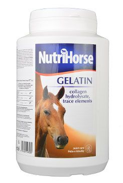 Nutri Horse Gelatin (Gel) 1 kg