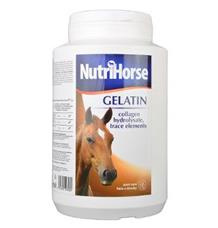 Nutri Horse Gelatin (Gel) 1 kg