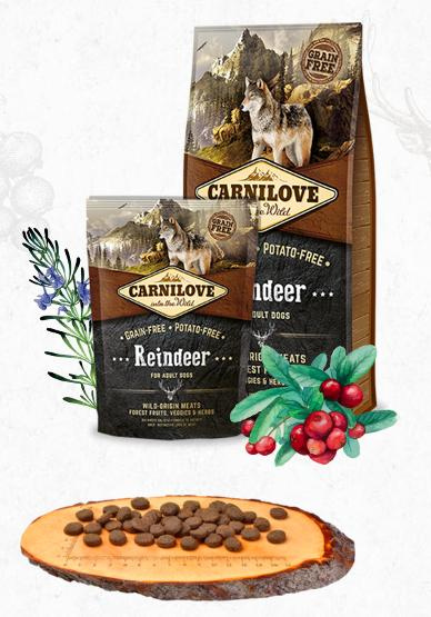 Carnilove Dog Reindeer for Adult 12 kg