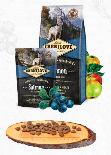 Carnilove Dog Salmon for Adult 12 kg