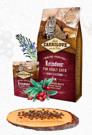 Carnilove Reindeer for Adult Cats - Energy & Outdoor 6 kg