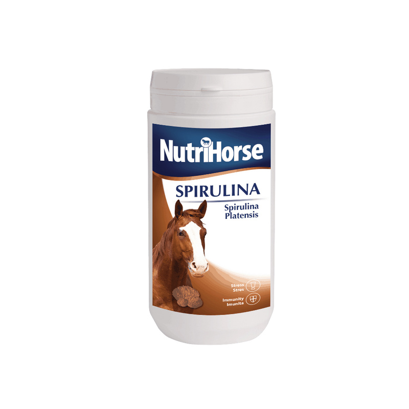 Nutri Horse Spirulina  500g