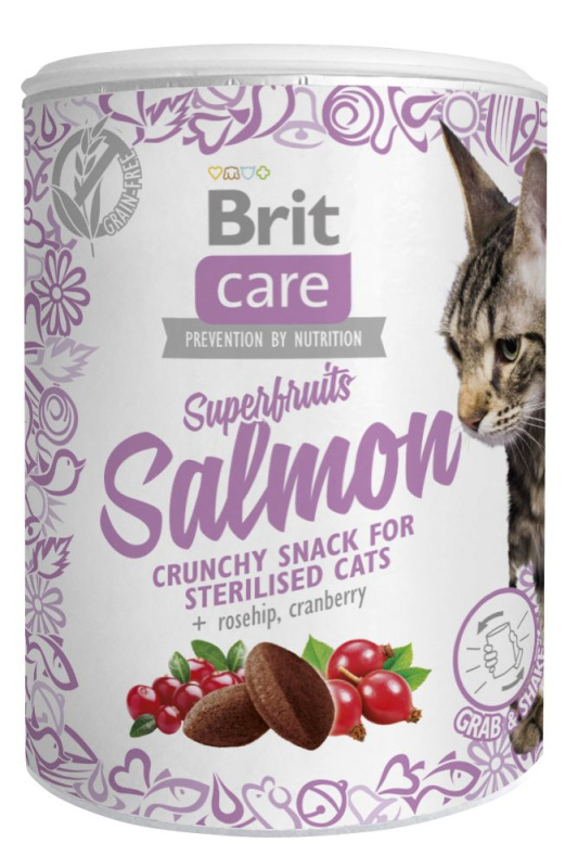 Brit Care Cat Snack Superfruits Salmon  100 g