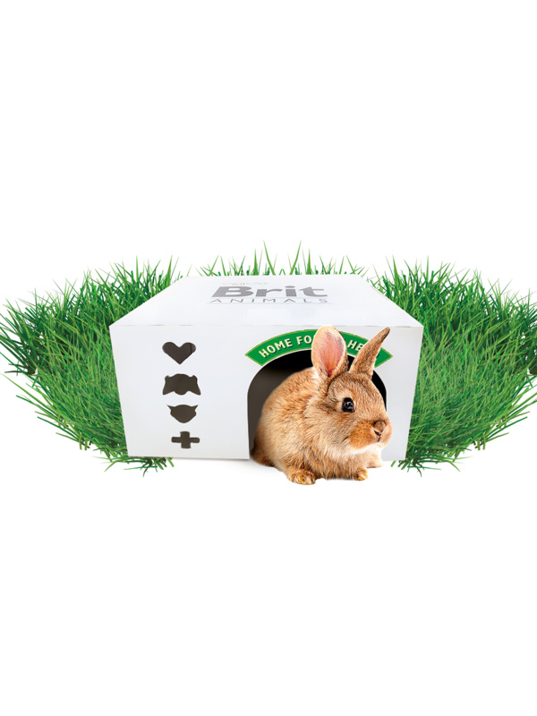 Brit Care Mini Grain-Free Adult Lamb pro psy