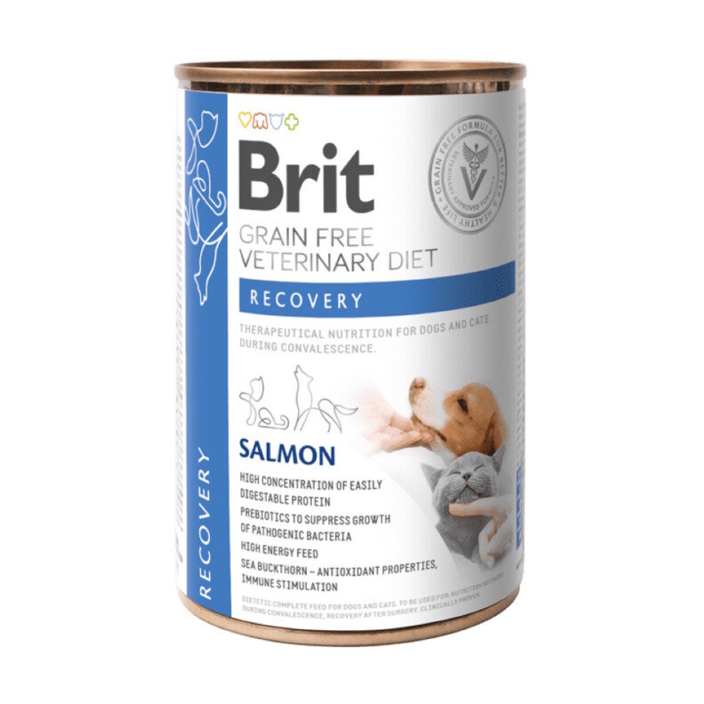 Brit VD Dog+Cat GF konz. Recovery 400 g