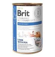 Brit VD Dog+Cat GF konz. Recovery 400 g