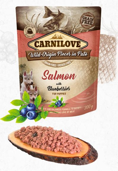 Carnilove Dog Pouch Paté Salmon & Blueber Puppies 300 g
