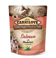 Carnilove Dog Pouch Paté Salmon & Blueber Puppies 300 g