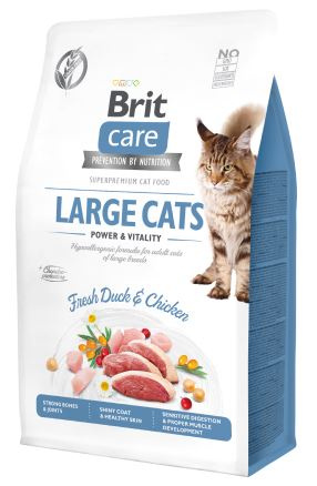 Brit Care Cat GF Large cats Power&Vitality 7 kg