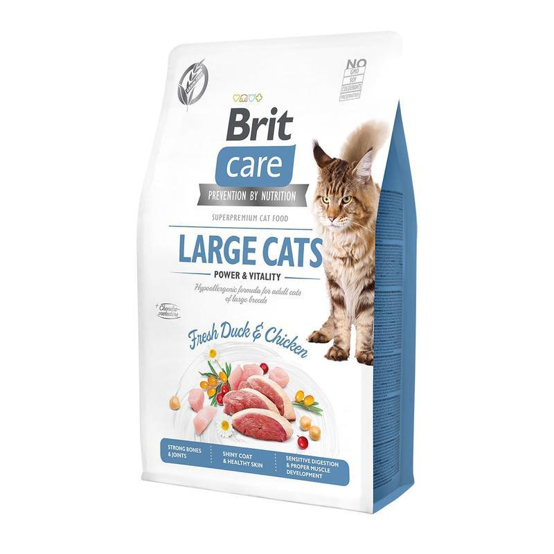 Brit Care Cat GF Large cats Power&Vitality 2 kg