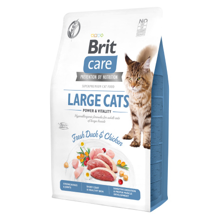 Brit Care Cat GF Large cats Power&Vitality 2 kg