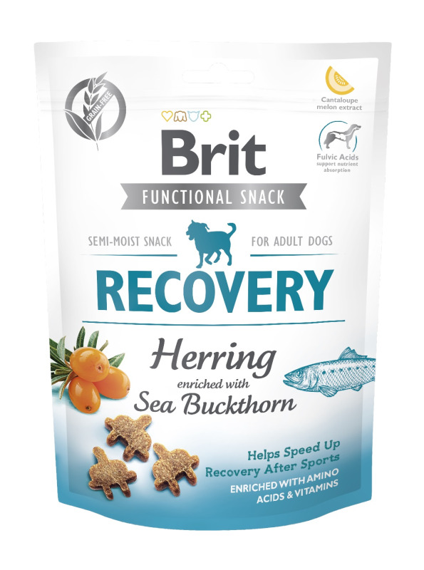 Brit Snack Recovery Herring/Sea Buckthorn - 150g