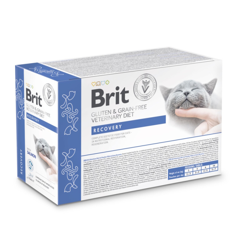 Brit VD Cat Pouch fillets in Gravy Recovery 12x85g