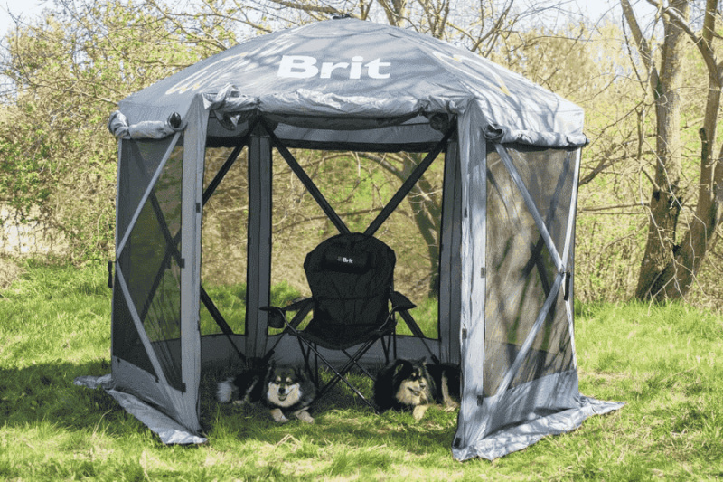 Brit show tent 2,8m