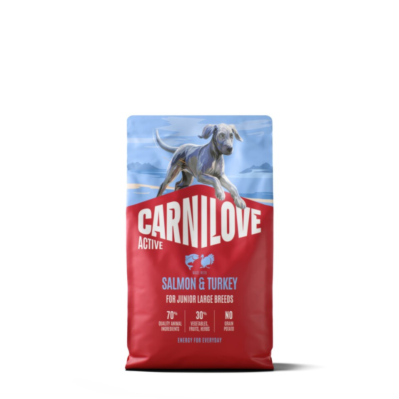Carnilove Dog Active Dry Salmon&Turkey Junior LB 4kg