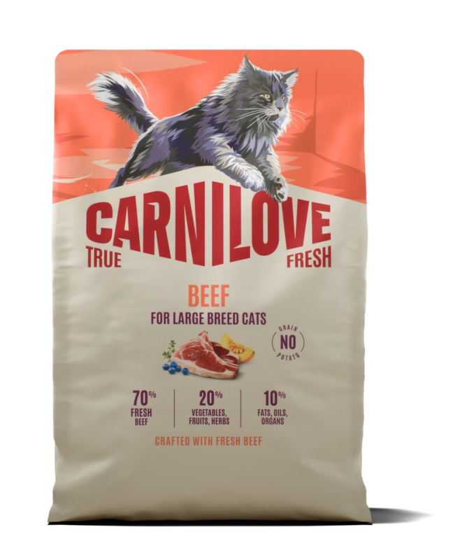 Carnilove True Fresh - granule pro kočky Carnilove Cat True Fresh Dry Beef Adult LB 6kg