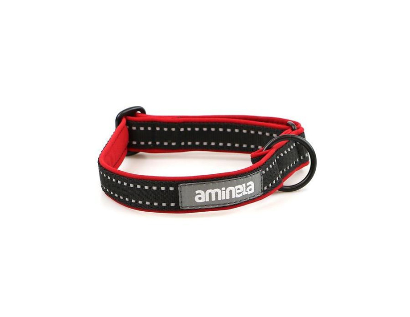 Aminela klasik obojek Sport & City 20mm/30-50cm Červená