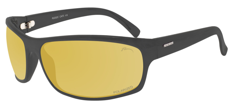 Polarizační sluneční brýle RELAX Arbe R2202D