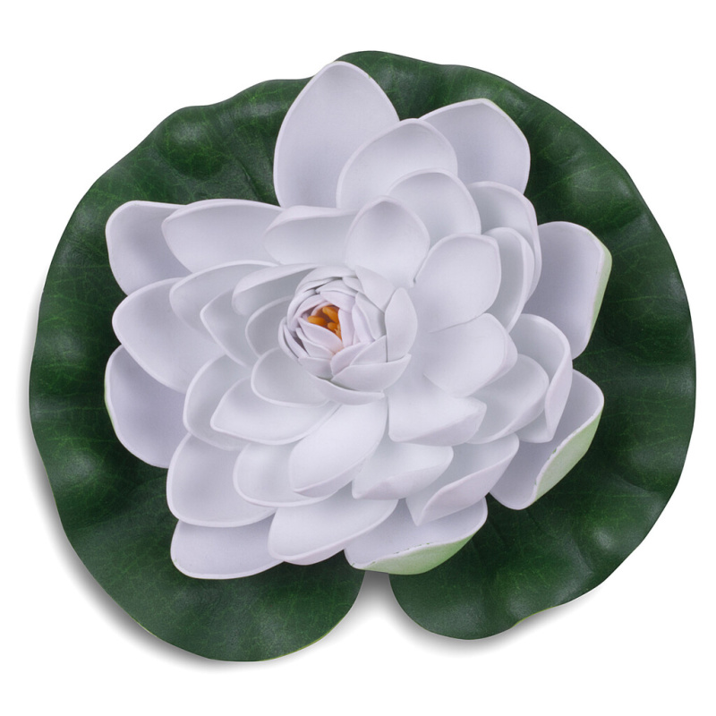 Bílý květ leknínu