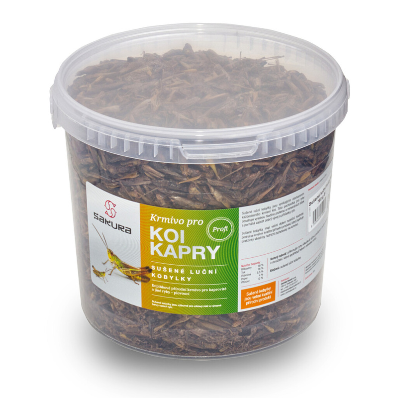 Sušené Kobylky luční 750 g, 5l