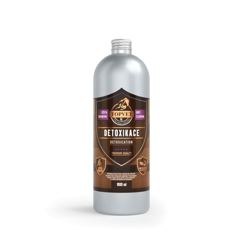 GREEN IDEA Sirup Detoxikace 1000 ml