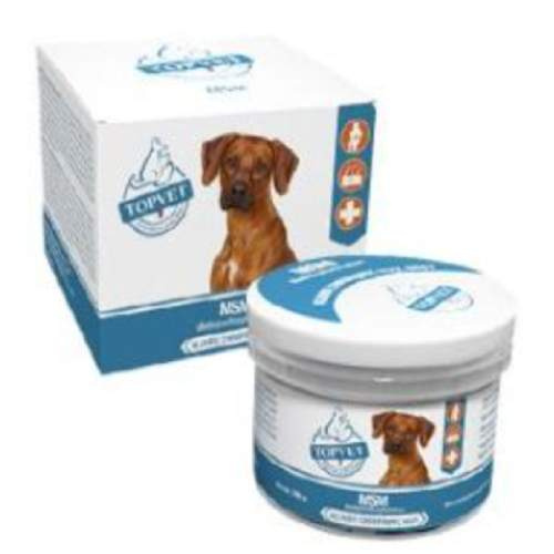 TOPVET MSM pro psy 100 g