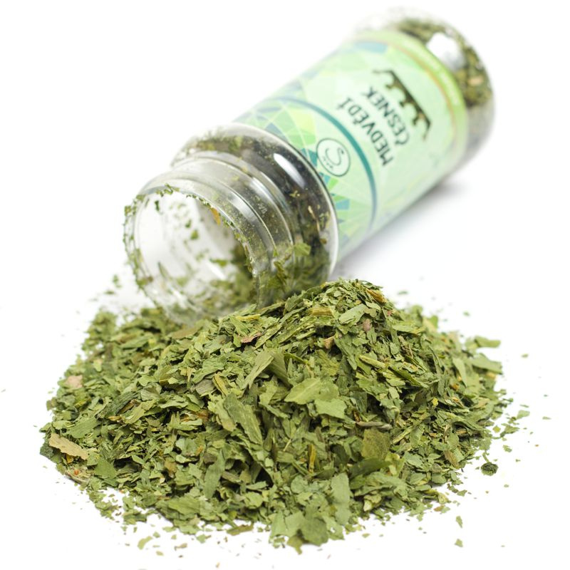 Medvědí česnek 6 g