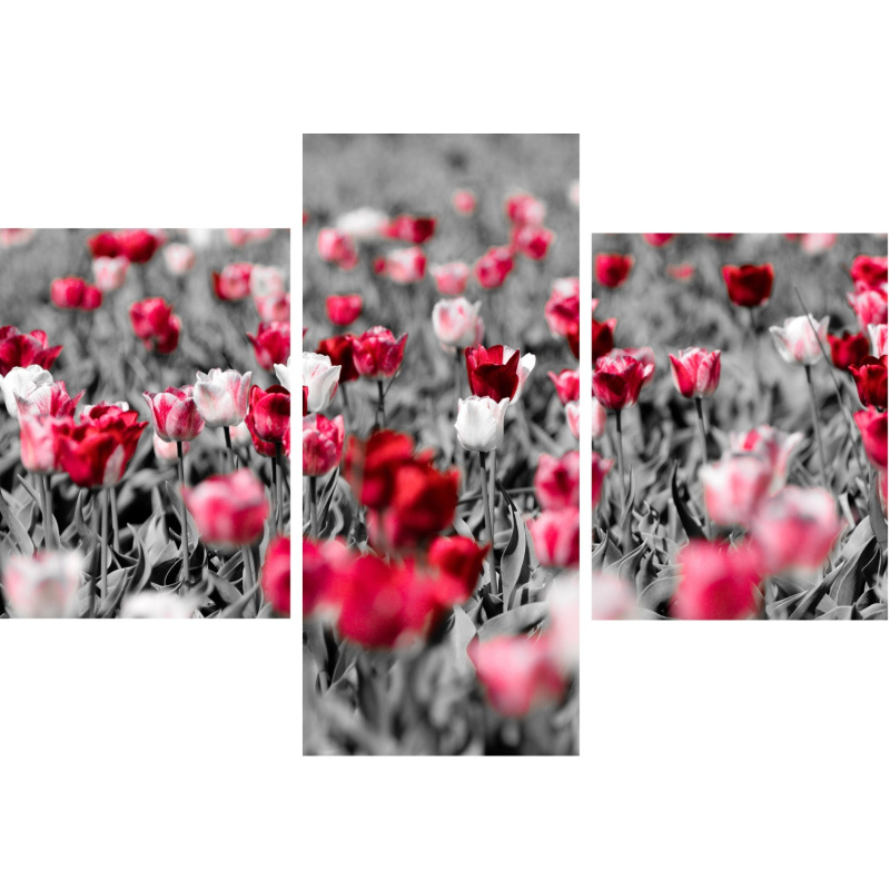 Bondecor 3dílná sada obrazů Modern 30 x 42 cm